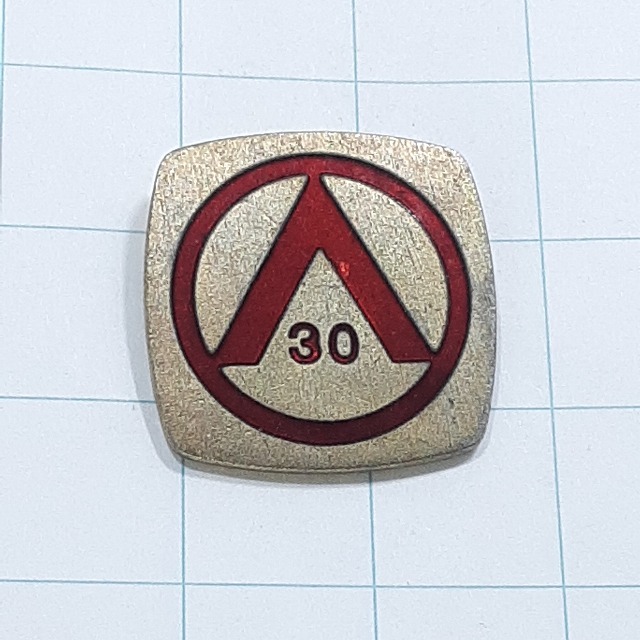 送料無料)被爆30周年原水禁世界大会 ピンバッジ PINS ピンズ A28720拍卖