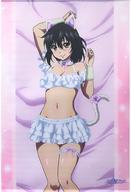 中古タペストリー 姫柊雪菜 白猫Ver. キュートなB2タペストリー 「くじ引き堂 ストライク・ザ・ブ拍卖