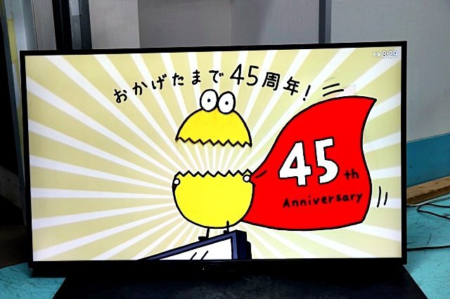 SHARP シャープ 50V型 液晶テレビ AQUOS 4T-C50AJ1 4K 本体/B-CAS・HDMIケーブル付き (※送料0円表示でも別途発生します) 57189Y拍卖