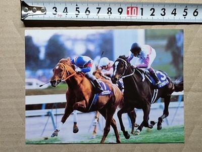 競馬 絵はがき 非売品ポストカード JRA グラスワンダー 的場均 第44回有馬記念・1999年(横スペシャルウィーク 武豊)拍卖