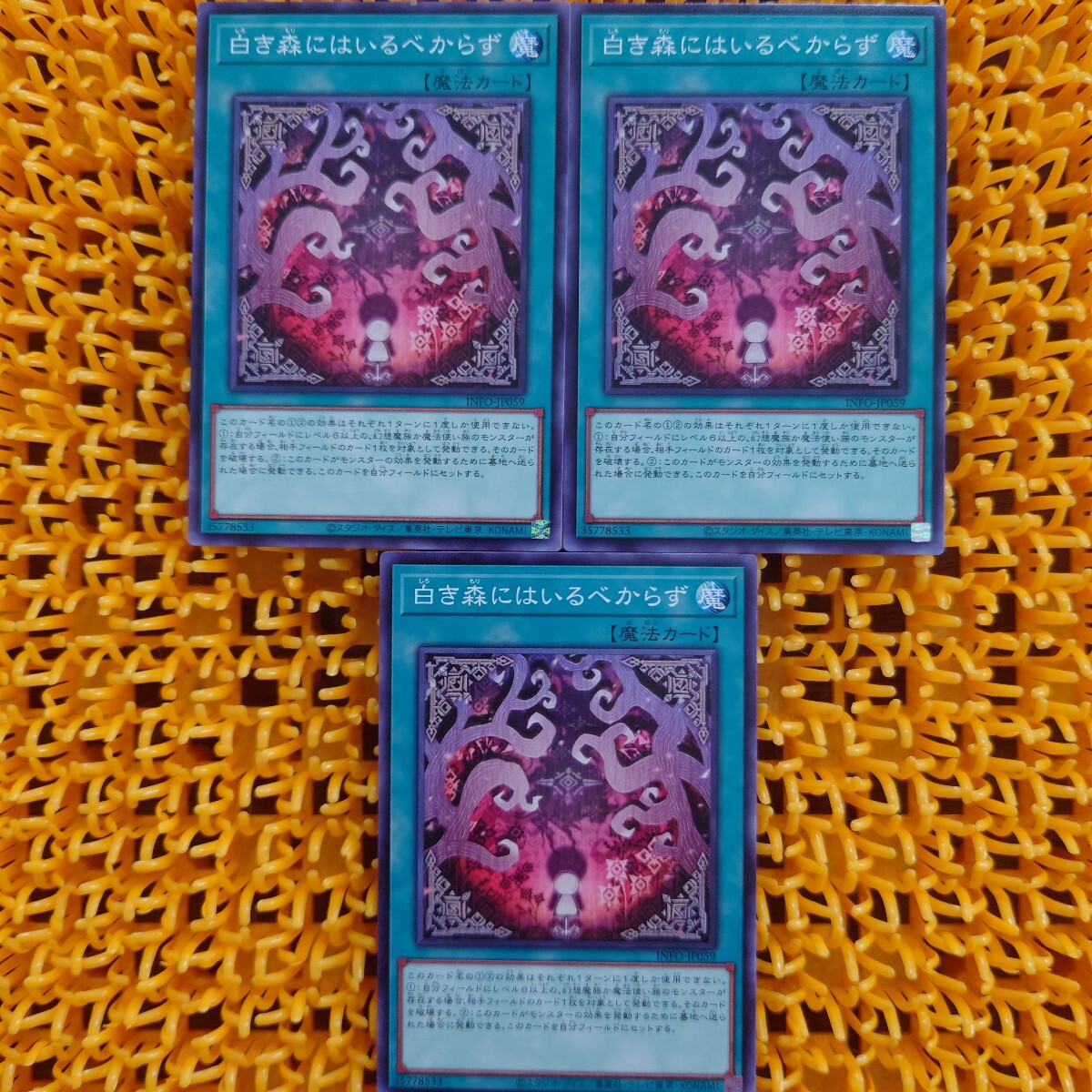 遊戯王 傷あり 白き森にはいるべからず 3枚拍卖