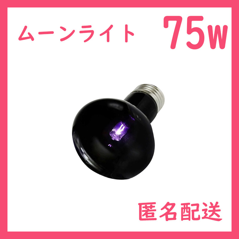 75W★ムーンライト1個(爬虫類ライト)ナイトグローB0131拍卖