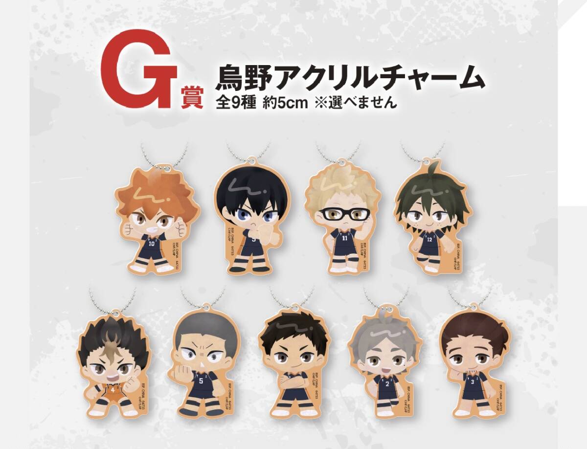一番くじ ハイキュー!2 G賞 烏野アクリルチャーム 未開封拍卖