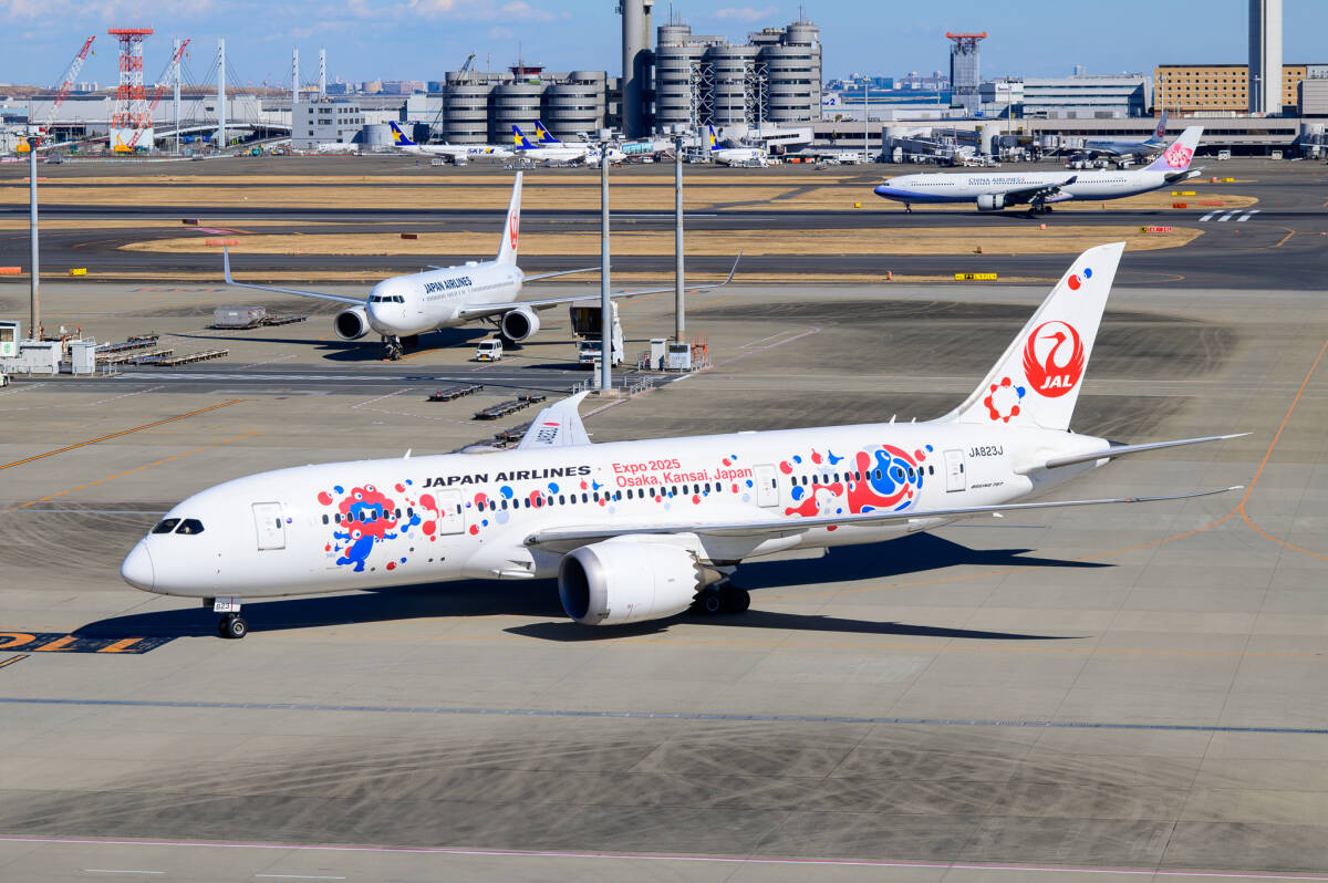 飛行機 デジタル 画像 ボーイング787 JAL ミャクミャクJET 7拍卖
