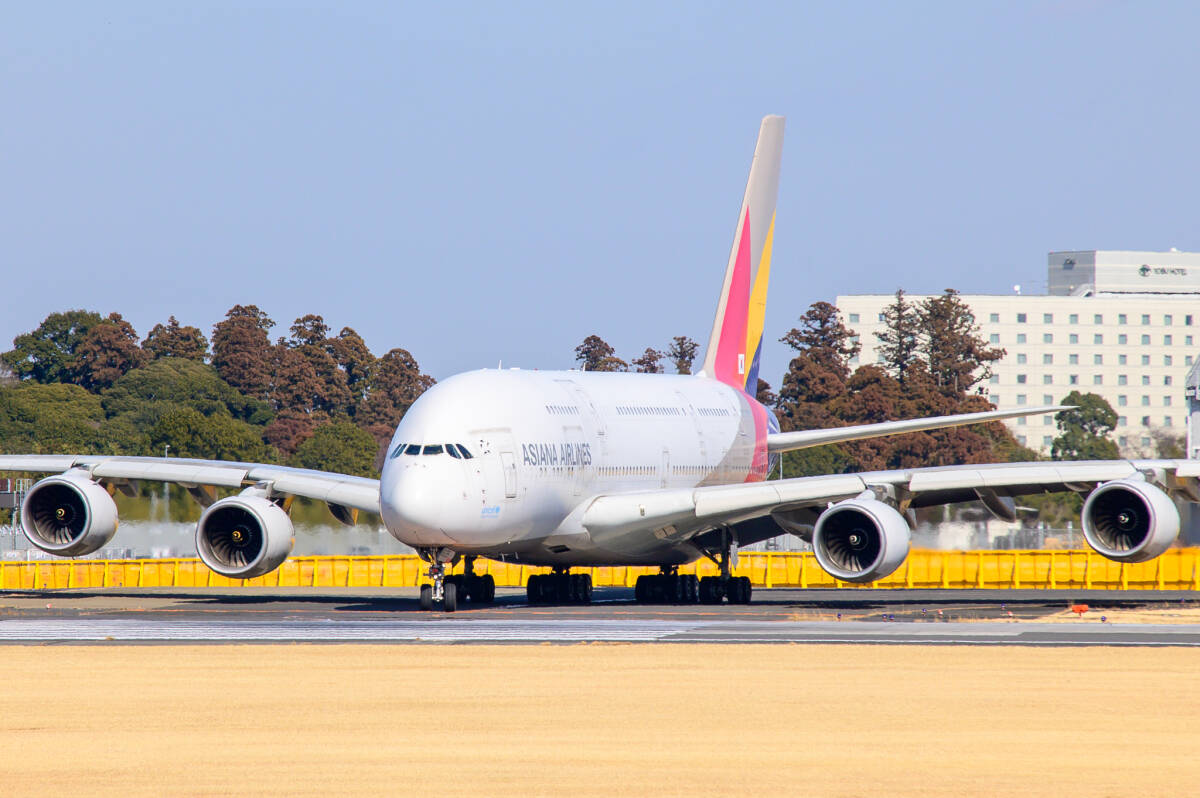 飛行機 デジタル 画像 A380 アシアナ航空 7拍卖