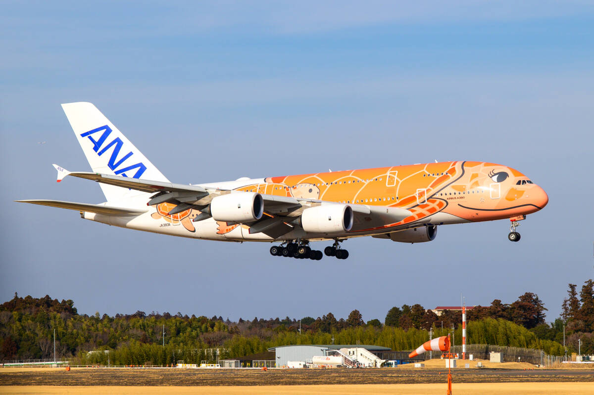 飛行機 デジタル 画像 A380 ANA フライングホヌ 21拍卖