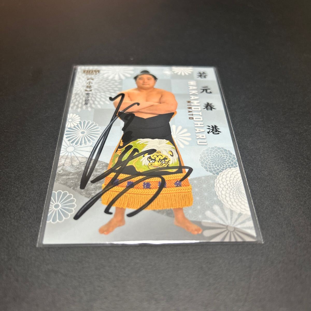 BBM 2023 大相撲 相撲 若元春港 サインカード 拍卖