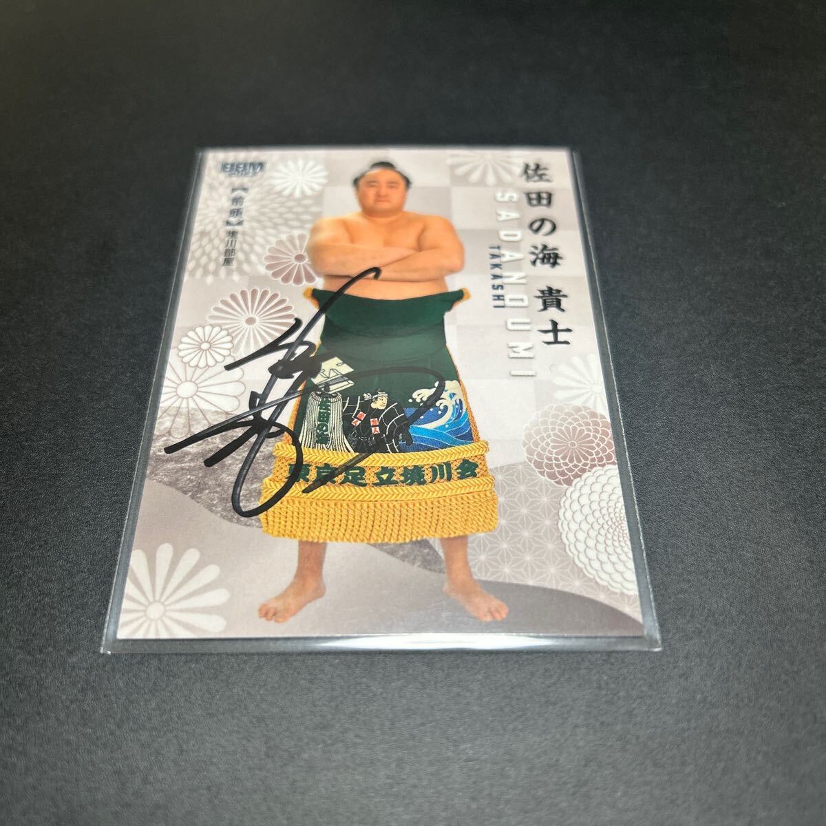 BBM 2023 大相撲 相撲 佐田の海貴士 サインカード 拍卖