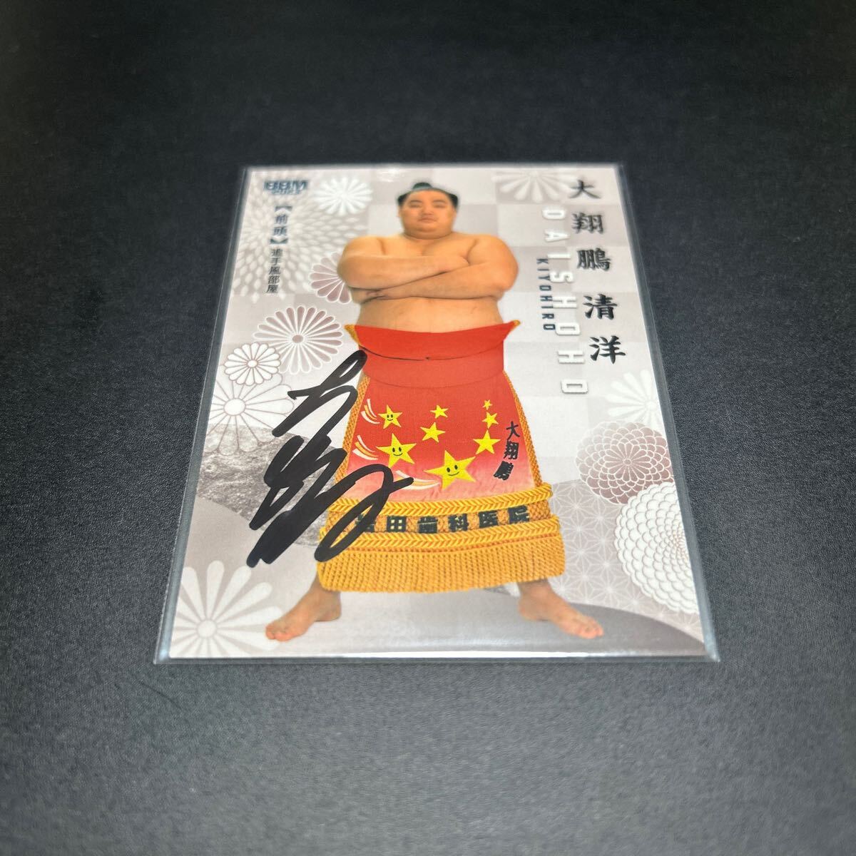 BBM 2023 大相撲 相撲 大翔鵬清洋 サインカード 拍卖