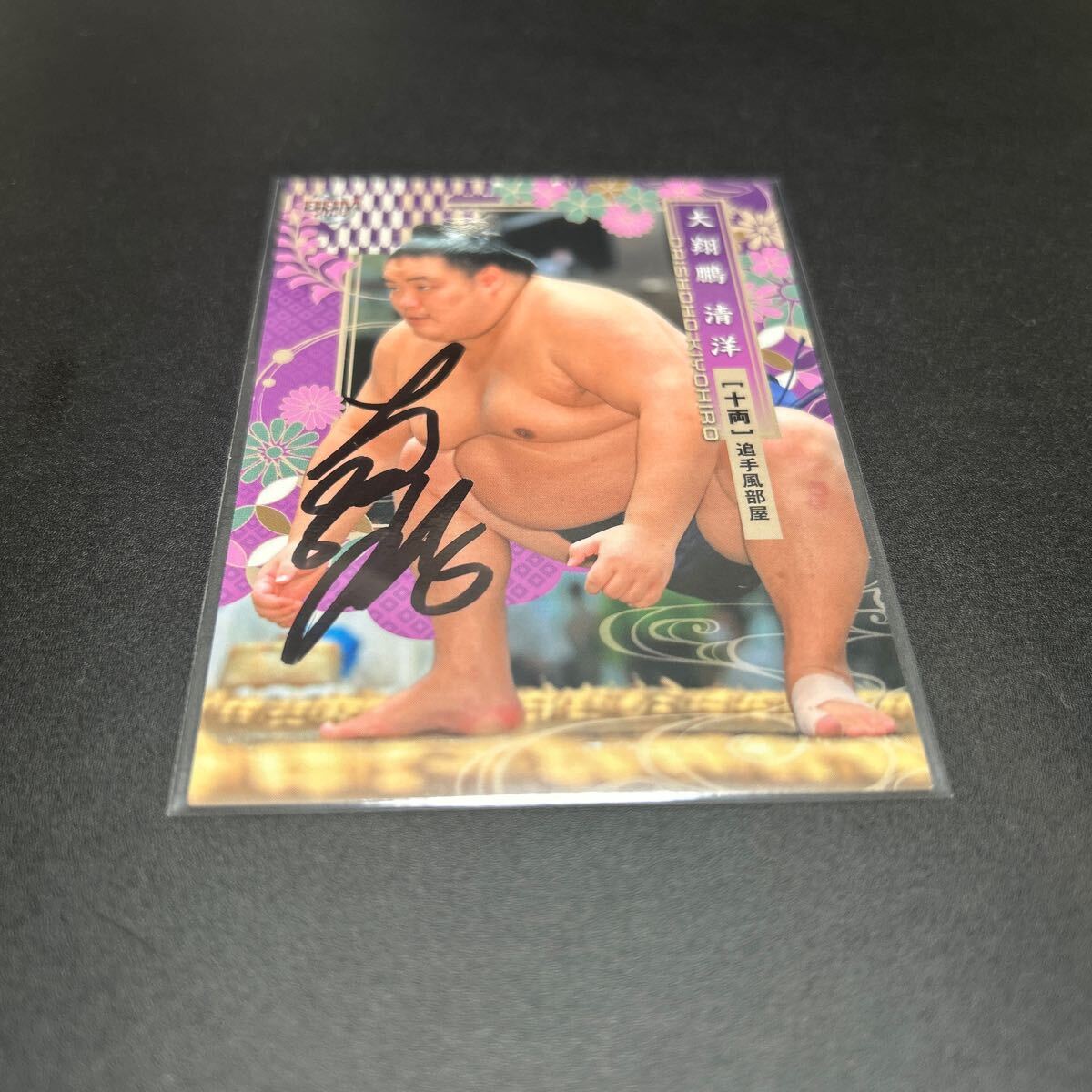 BBM 2022 大相撲 相撲 大翔鵬清洋 サインカード 拍卖