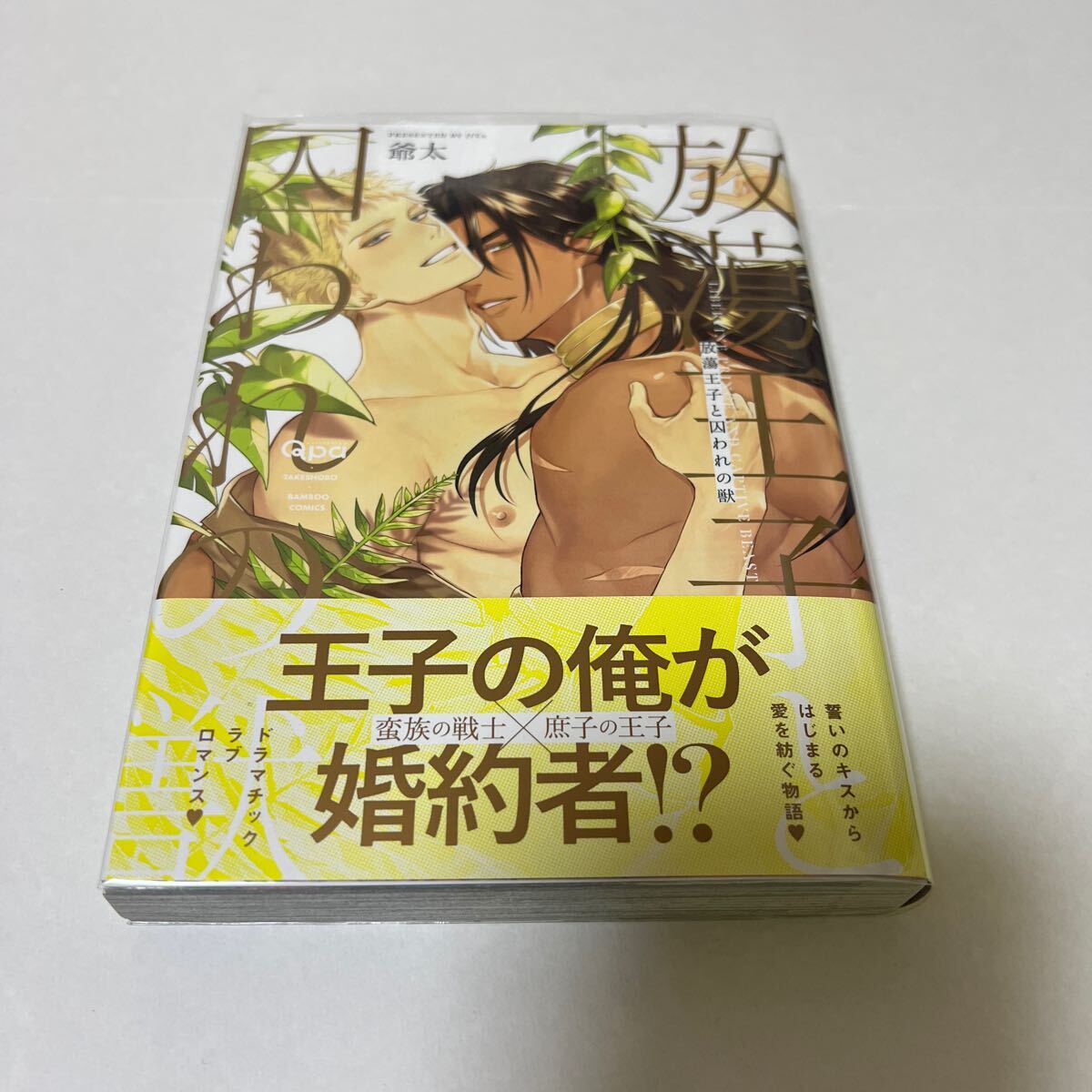 BL 4155 放蕩王子と囚われの獣…爺太拍卖