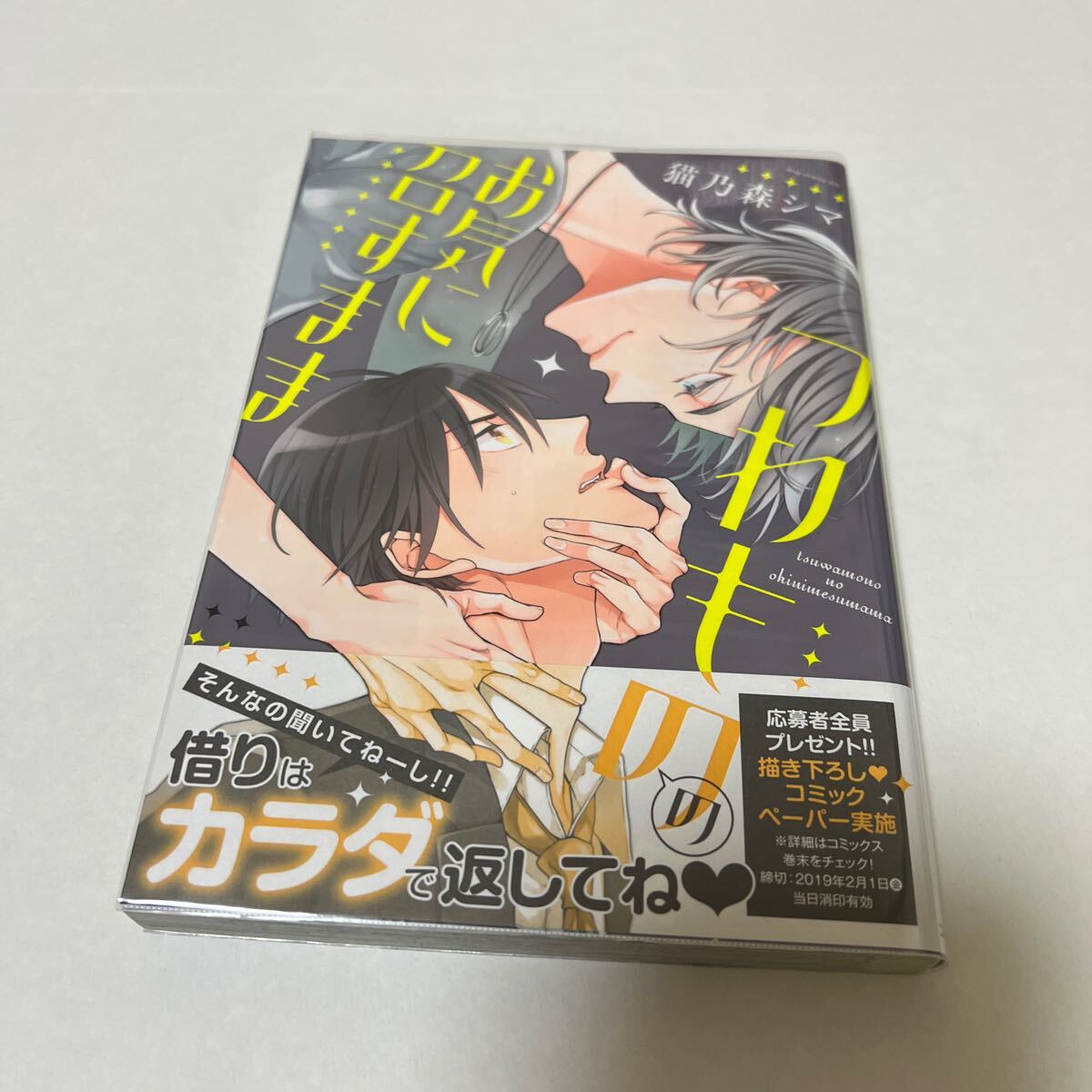 BL 4170 つわもののお気に召すまま…猫乃森シマ拍卖