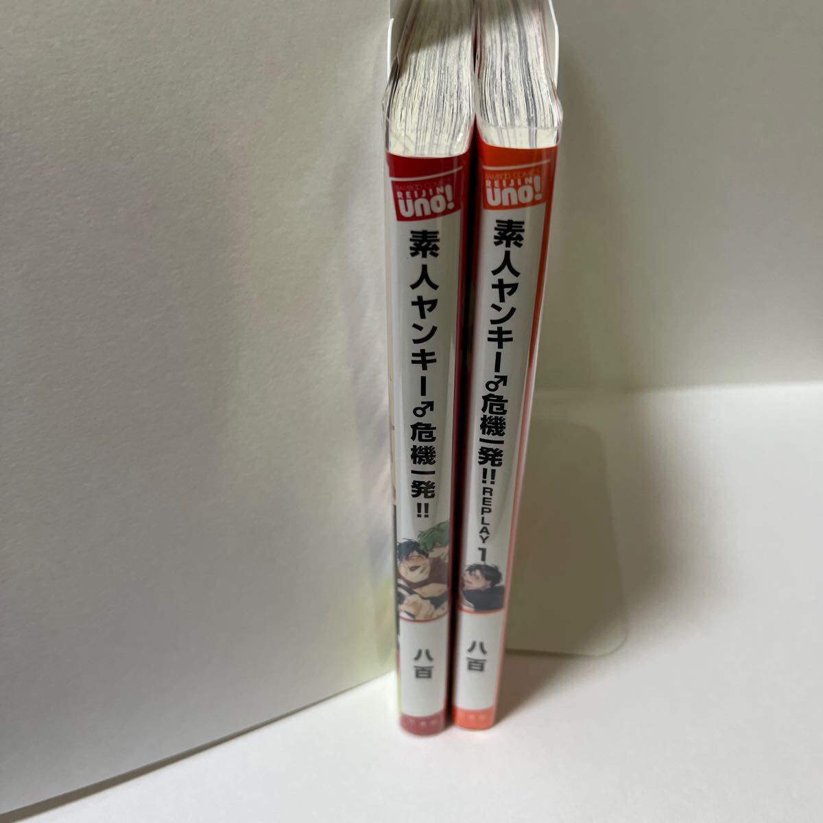 BL 4171 素人ヤンキー♂危機一髪!!、 reply①…八百拍卖