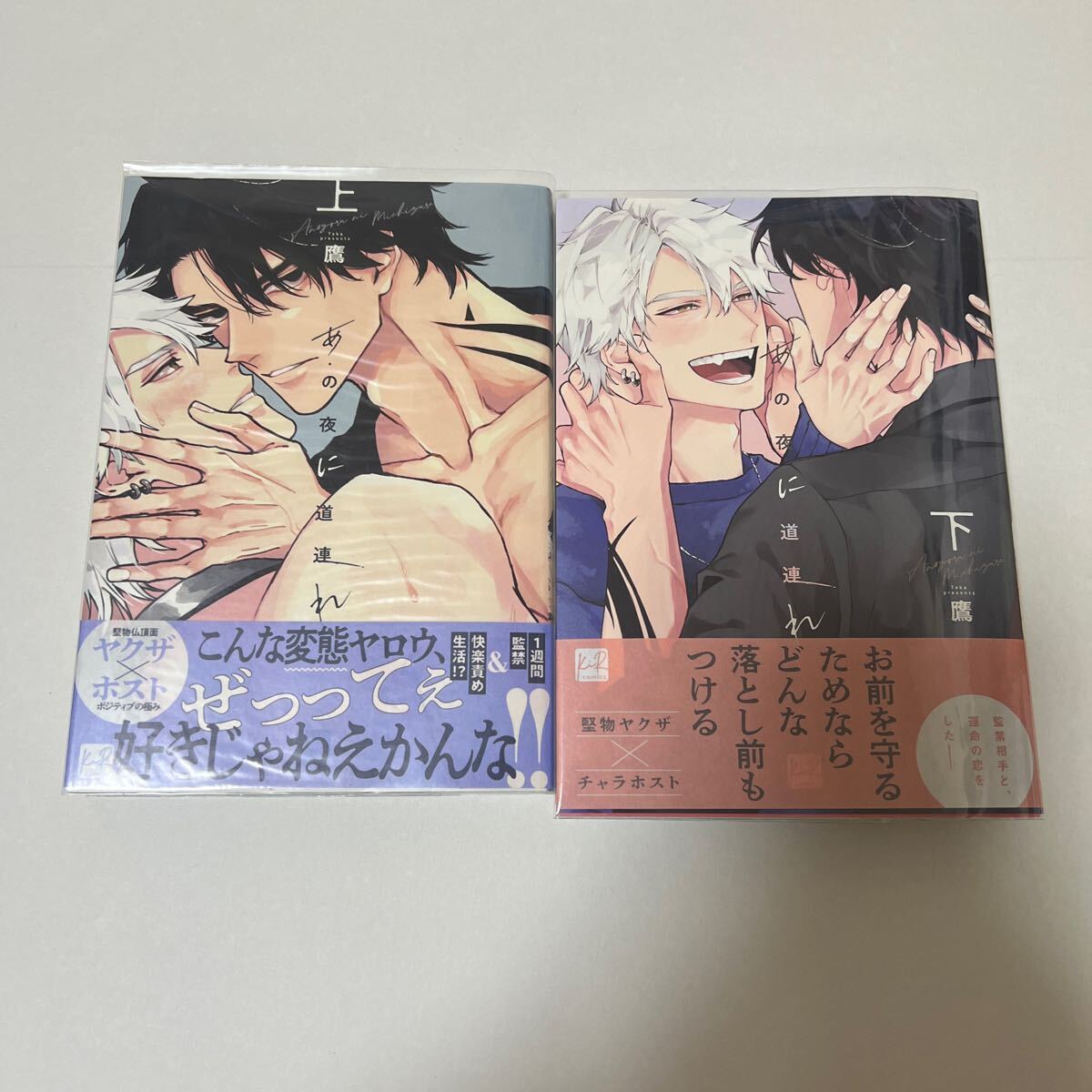 BL 4189 あの夜に道連れ(上・下)…鷹拍卖