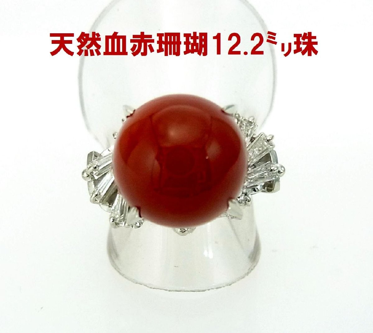 お買い得品 天然血赤色紅珊瑚 12.2ミリ丸珠 天然ダイヤ プラチナ製リング 卸価格 商品動画 送料込み拍卖