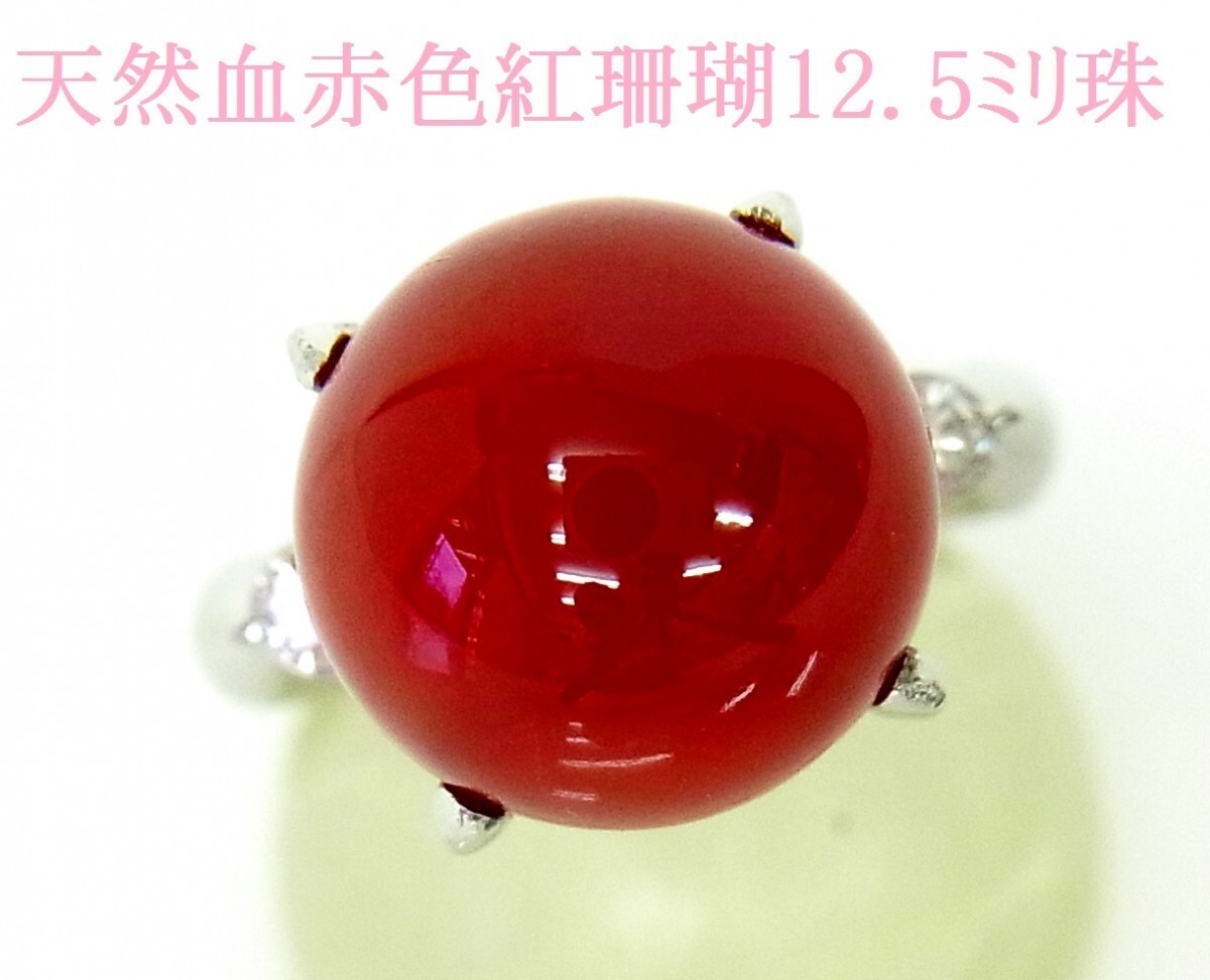 12.5ミリ丸珠 天然牛血色 紅珊瑚 さんご プラチナリング 中央宝石研究所鑑別書付 卸価格 商品動画あり 送料込拍卖