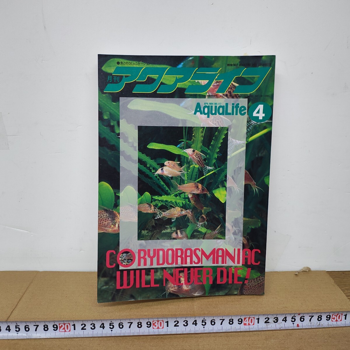 アクアライフ 1994年4月 特集 コリドラス CORYDORASMANIAC WILL NEVER DIE カエルウオ レッドテールブラックシャーク クテノプス拍卖
