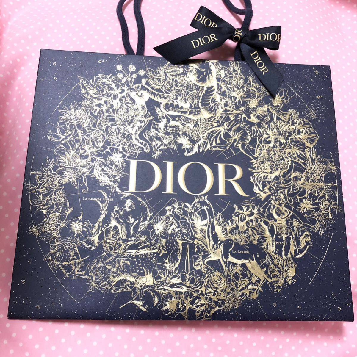 新品 ディオール 限定 紙袋 ショップ袋 ショッパー DIOR Dior ホリデー拍卖