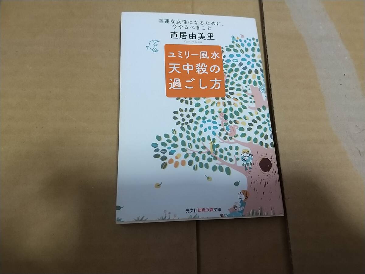 ユミリー風水 天中殺の過ごし方 直居由美里拍卖