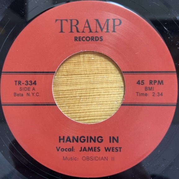 JAMES WEST HANGING IN (RE) 45's 7インチ拍卖