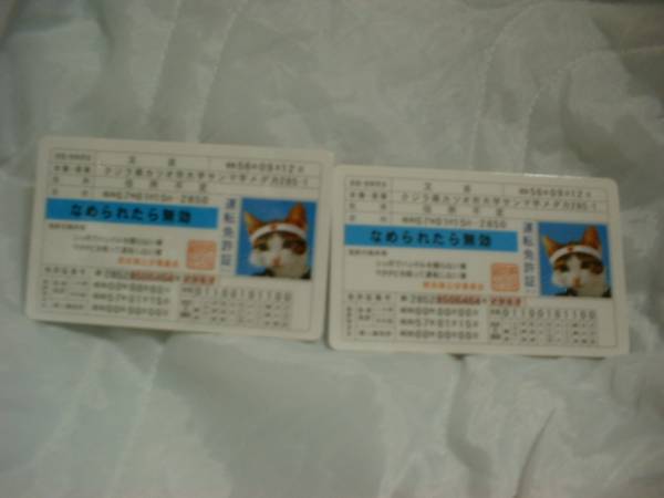 ★2枚 なめ猫 なめんなよ 免許証 又吉 新品 即決 なめられたら無効 ★★ なめ猫同梱検索拍卖
