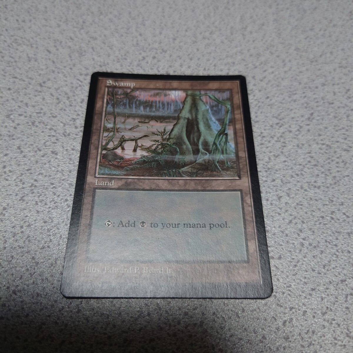 MTG 沼 英語 一枚 APEC 1997 Edward P. Beard Jr. 即決拍卖