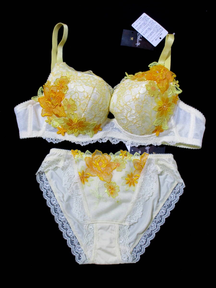 希少 ワコール サルート ブラ&ショーツ E75 M アンドロメダ 37G 新品タグ付 497★拍卖