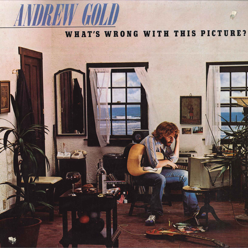 米LP Andrew Gold Whats Wrong With This Picture ? 7E1086 ASYLUM /00260拍卖