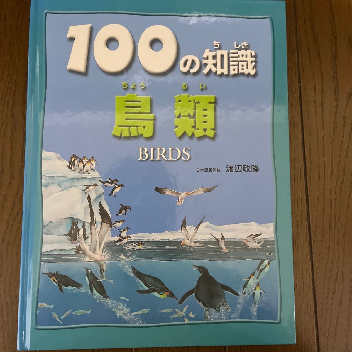 100の知識 鳥類 ジニー・ジョンソン/著 渡辺政隆 1000拍卖