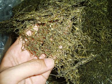 ★食物繊維で便秘解消!【三陸産】乾燥刻みめかぶ(40g×2袋)拍卖