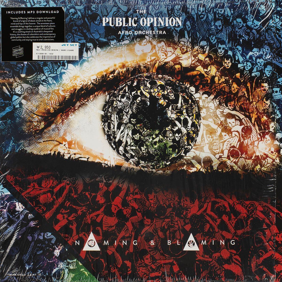 The Public Opinion Afro Orchestra Naming & Blaming レコード LP Vinyl拍卖
