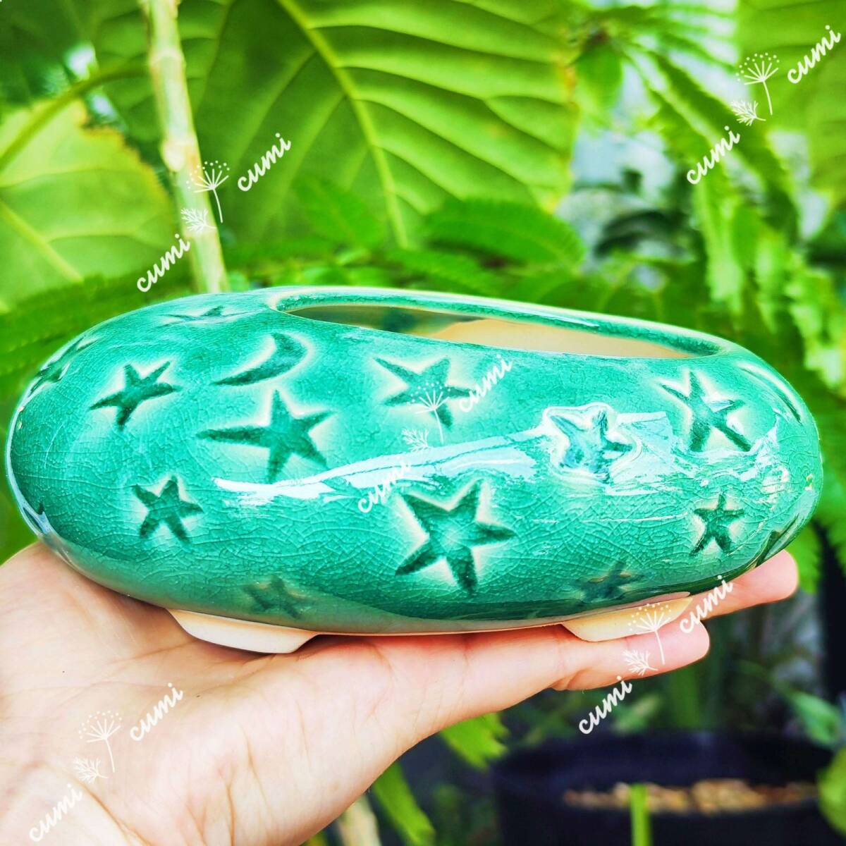 韓国 楕円形 星 グリーン 窯変 貫入 植木鉢 おしゃれ 陶器鉢 多肉 植物 鉢植え 浮彫 室内 激安 レア インテリア プレゼント 海外 盆栽拍卖