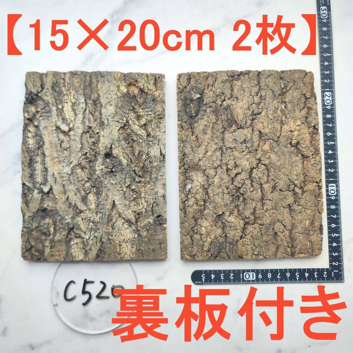 c520 【裏板付き2枚15×20cm】 コルク樹皮 コルク板 バージンコルク 送料無料 チランジア ビカクシダ 着生ラン 両生類 爬虫類拍卖