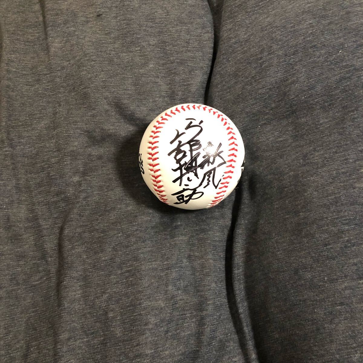 2025キャンプ 球 巨人 阿部慎之助  監督  直筆サインボール拍卖