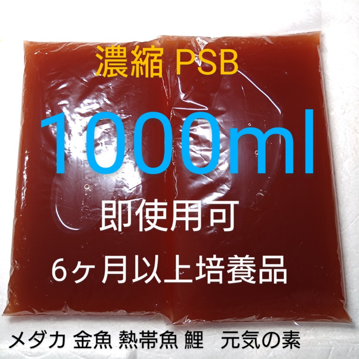 即使用可 濃縮 PSB 1000ml めだか 針子 金魚 熱帯魚 琉金 獅子頭 プレコ グッピー 錦鯉 ミジンコ の 餌 水草 肥料 バクテリア 水質安定 月拍卖