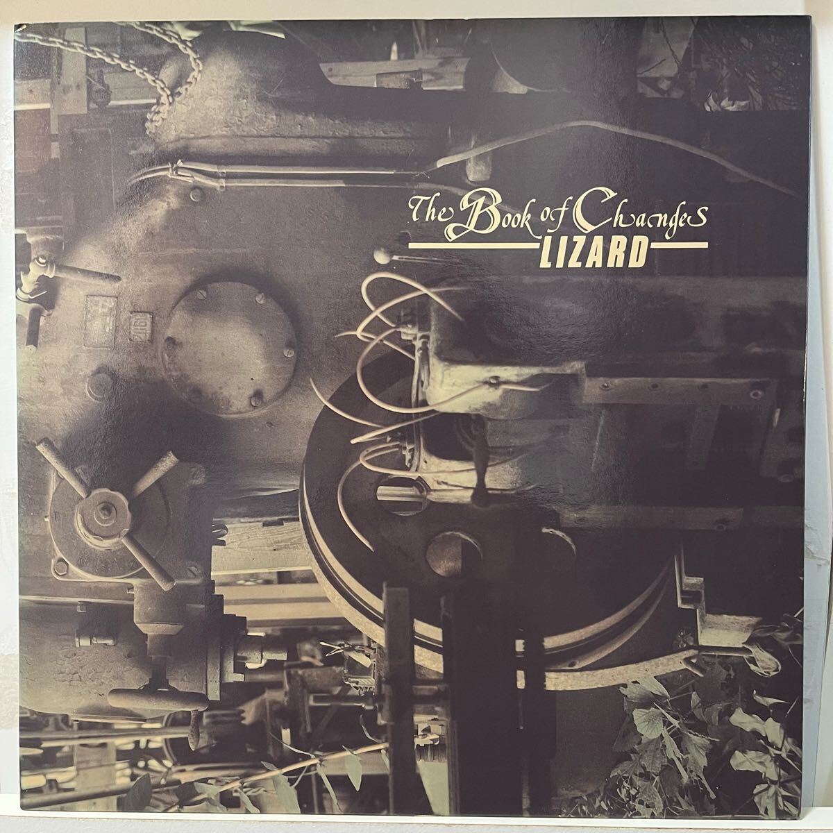 LP LIZARD/リザード「THE BOOK OF CHANEGES」~MOMOYO/紅蜥蜴/フリクション/ミラーズ/ゴジラレコード/東京ロッカーズ friction拍卖