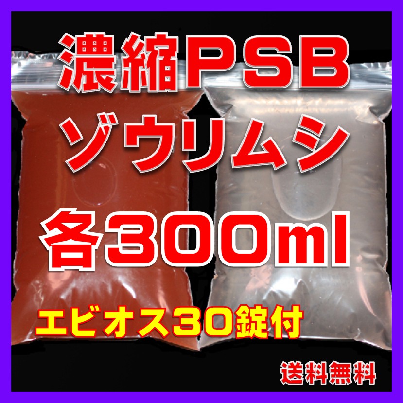★送料無料★室内管理濃縮PSB300ml+PSBで培養したゾウリム種水300ml+エビオス30錠+各培養説明付き拍卖
