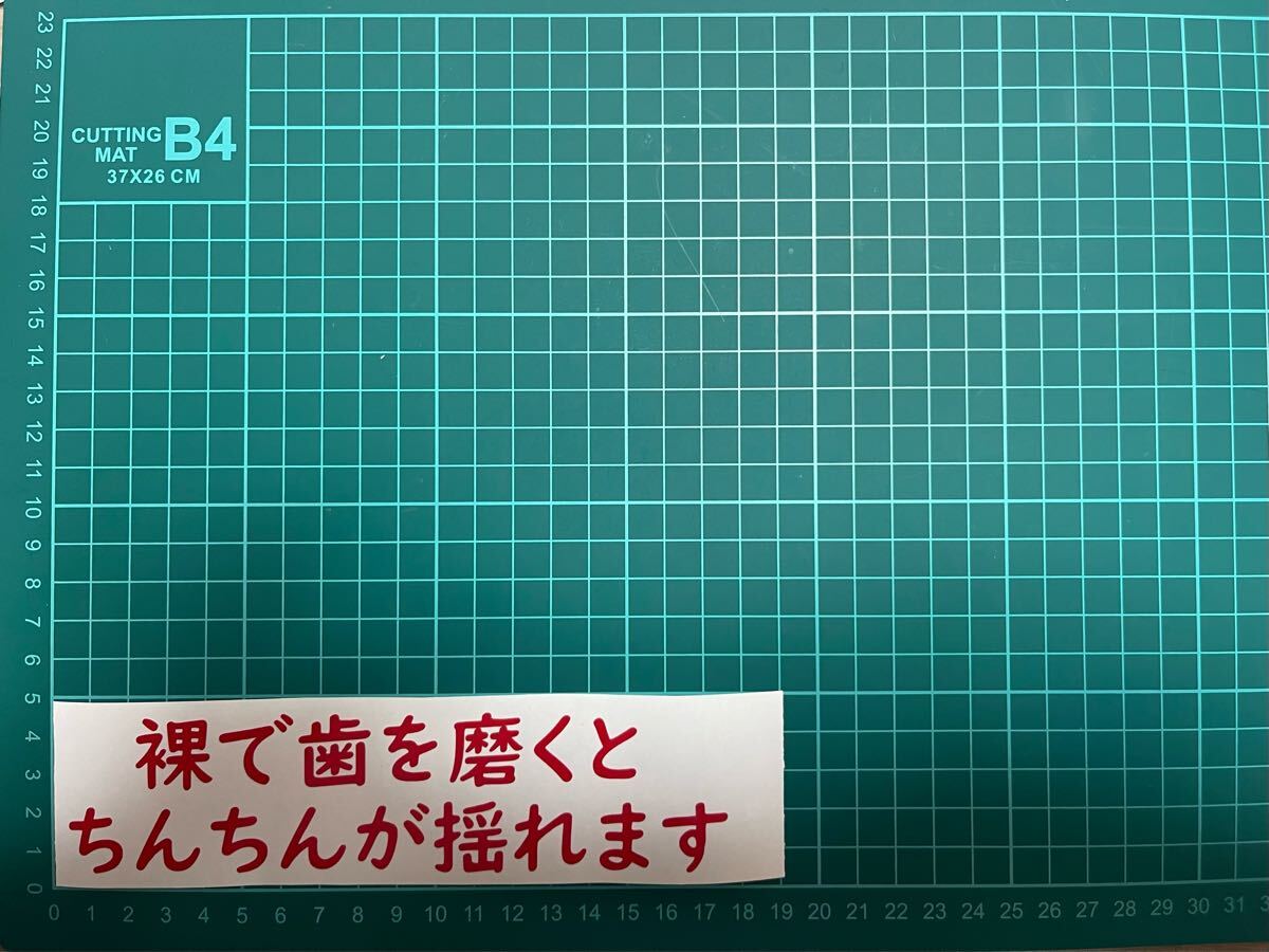 カッティングステッカー 車 バイク シール 詩 ステッカー トラック おもしろ デコトラ 下ネタ ポエム 文字 ジョーク あるある拍卖