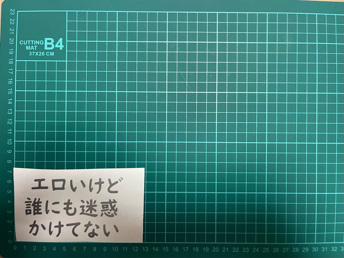 カッティングステッカー 車 バイク シール 詩 ステッカー トラック おもしろ デコトラ 下ネタ ポエム 文字 ジョーク 迷惑拍卖