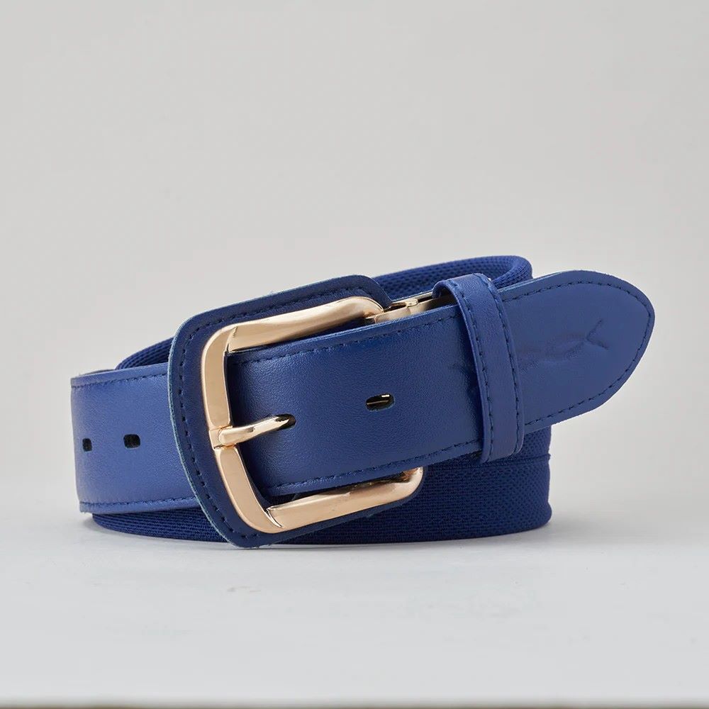 激安!新品 未使用 大人気!野球ベルト コアエナジー ロイヤルブルー×ゴールド 体幹、骨盤支える機能性ベルト 野球 ソフトボール ゴルフ拍卖