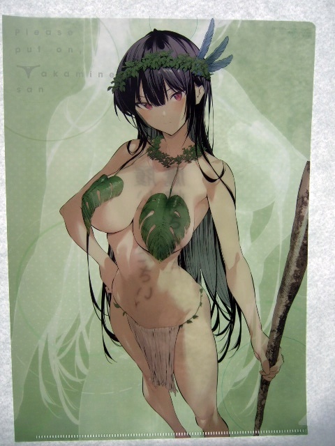 メロンブックス 限定 履いてください、鷹峰さん 10巻 クリアファイル 250311 特典 Melonbooks 非売品 ポストカード イラストペーパ 柊裕一拍卖