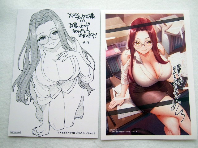 メロンブックス 限定 イカセルカメラで撮ってみた 3巻 特典 ペーパー 2点 イラストカード 250311 Melonbooks 非売品 ポストカード めしろ拍卖