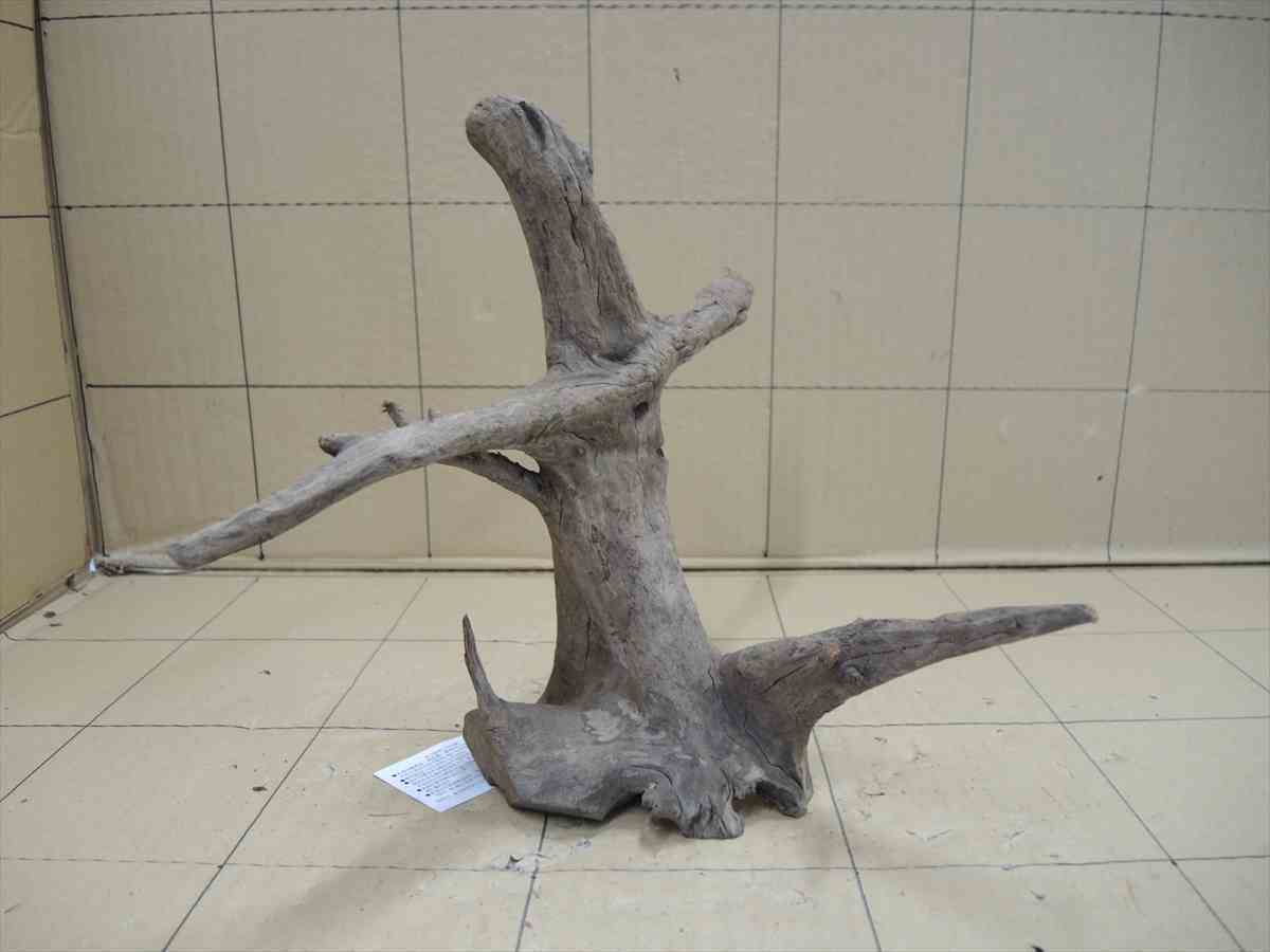 *iwoya*イージーウッド7113拍卖