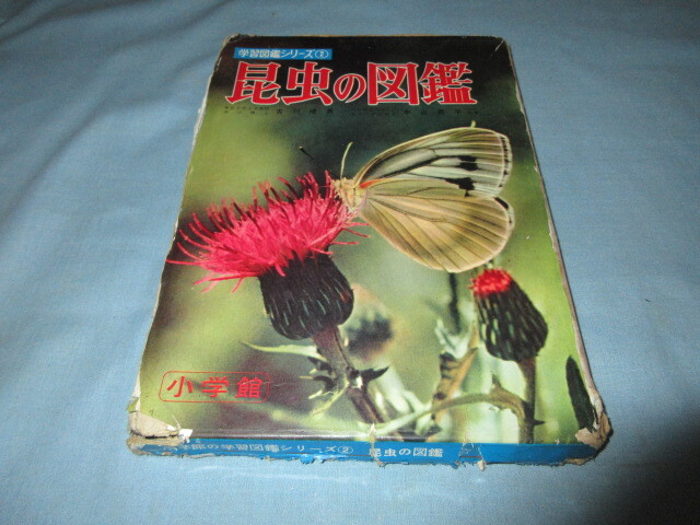 ◇昆虫の図鑑◇学習図鑑シリーズ2 小学館拍卖