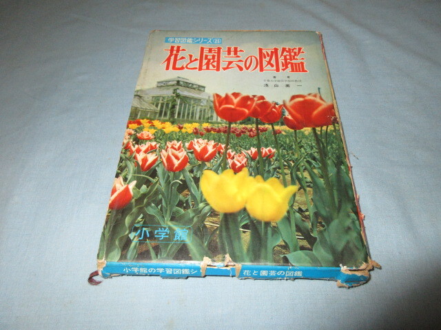 ◇花と園芸の図鑑◇学習図鑑シリーズ25 小学館拍卖