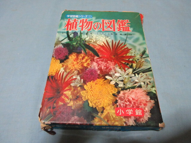 ◇植物の図鑑◇学習図鑑シリーズ1 小学館拍卖