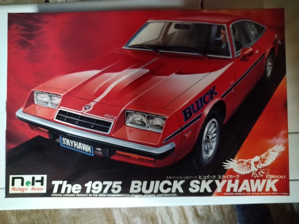 童友社 1/24 The 1975 BUICK SKYHAWK ビュイック スカイホーク 未組立拍卖