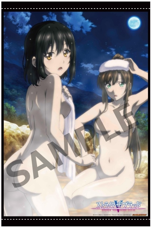 BD(BLU-RAY) DVD特典 ストライク・ザ・ブラッドFINAL OVA ゲーマーズ全巻購入特典 タペストリーのみ 新品拍卖