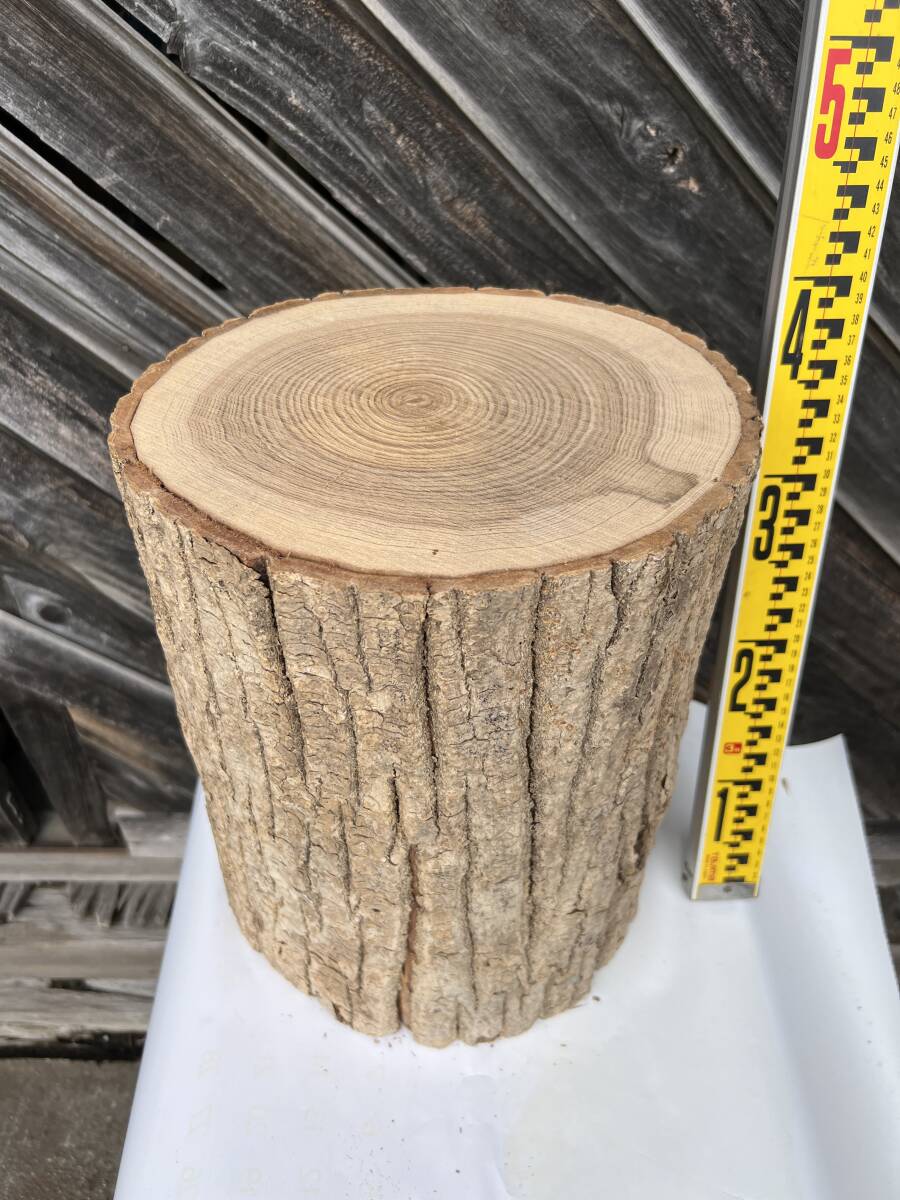 【値下げ】送料無料*タモ丸太③/天然木/切株/花台/鉢置/椅子/ディスプレー/鍛金台/彫刻/木彫/硬木/オブジェ/アート/DIY/木工/手作り拍卖