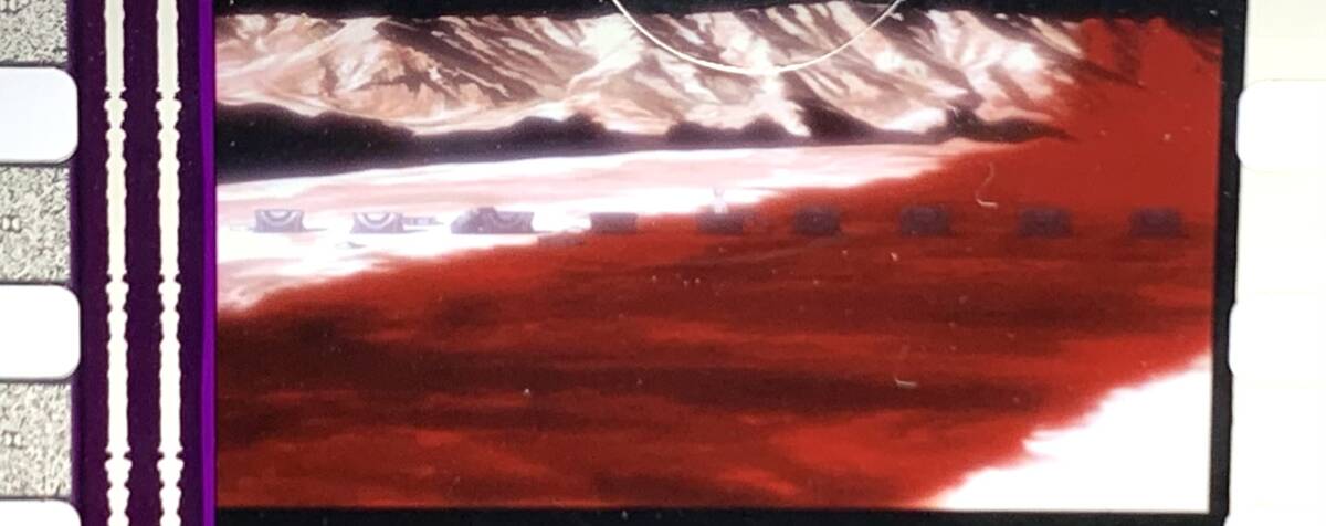 ■即決 同梱可■ エヴァンゲリオン 新劇場版 序 DVD 初回特典 フィルム - 渚カヲル (月面の棺から目覚めるシーン)拍卖